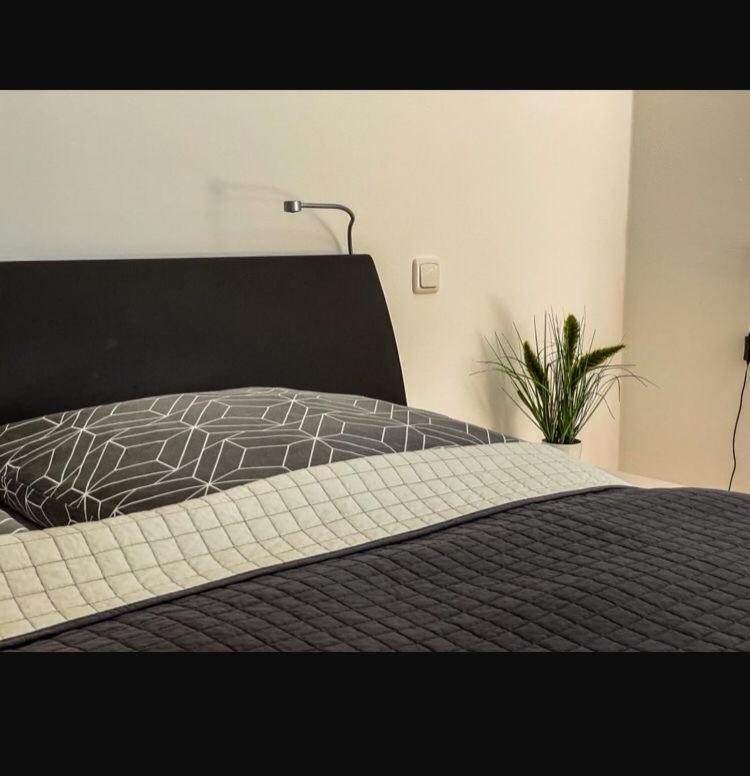 Zimmer - Modernes Apartment Mit 45 Qm. Штраубинг Экстерьер фото